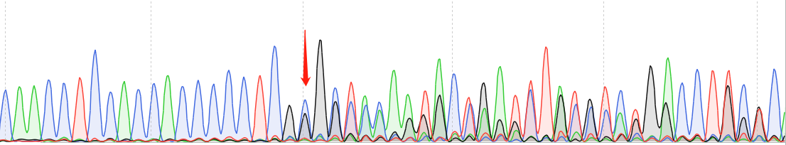 HCT 116-CAS9 cell line Product Validation Data（RT-QPCR）